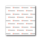 5'x5' Video Backdrop